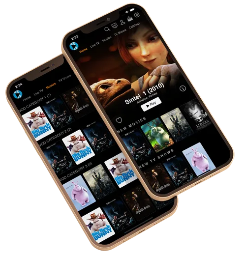Wiztream IPTV streaming on multiple devices